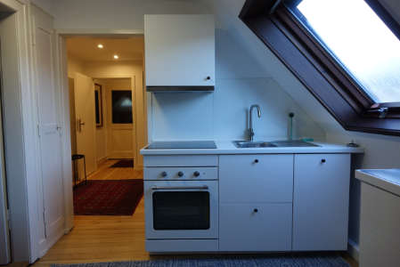 Vollausgestattete Küche möblierte Wohnung Lahr